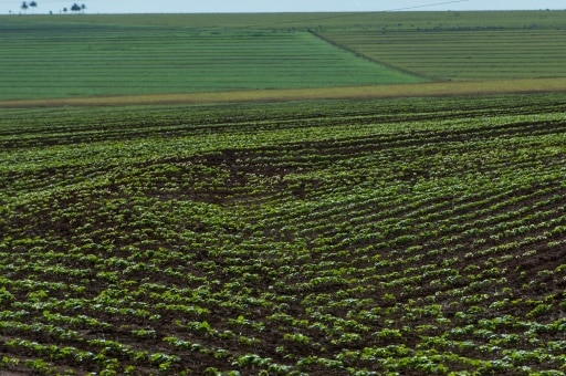Brésil Soja importation déforestation