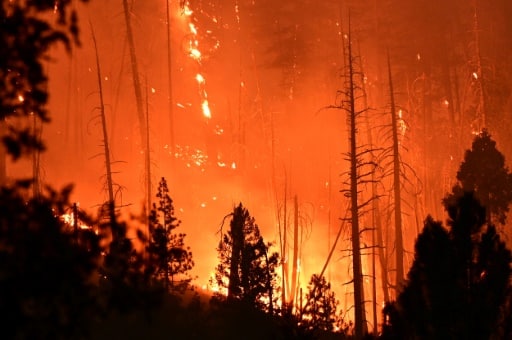 Twain Californie feux incendies réchauffement climatique