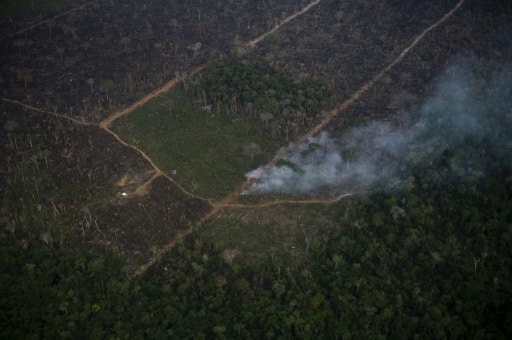 brûlis forêt amazonie Brésil