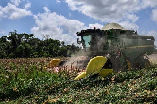Moisson Brésil Russie conflit agriculture