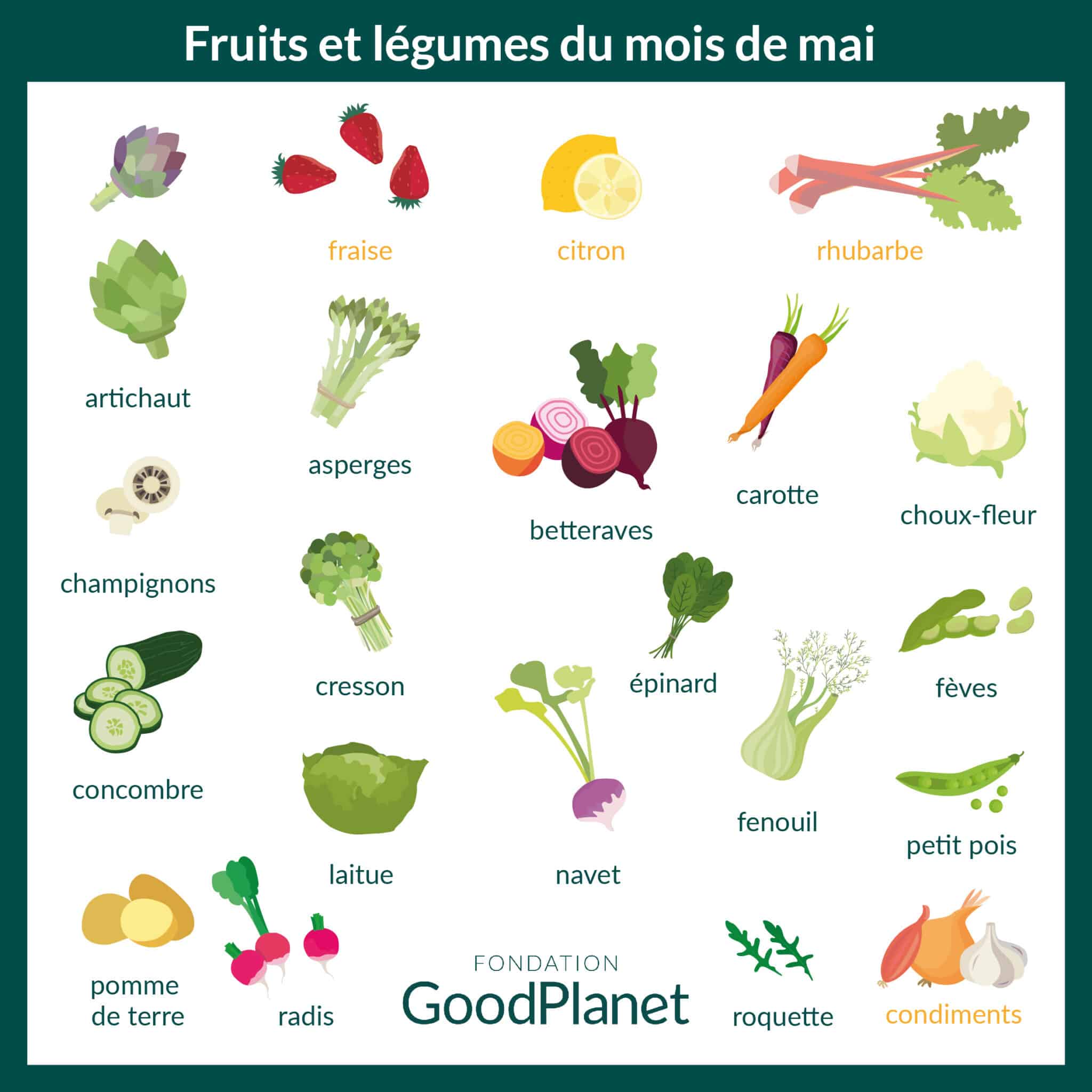 Les fruits et légumes de mai sont arrivés ! mag'
