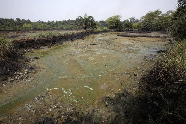goi delta du niger pollution goldman prix