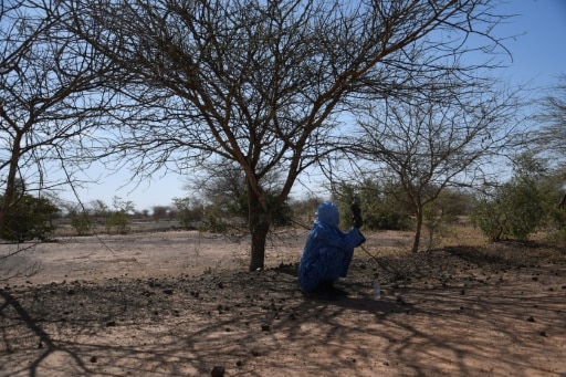 Niger Sahel desertification COP15 Nations Unies Abidjan