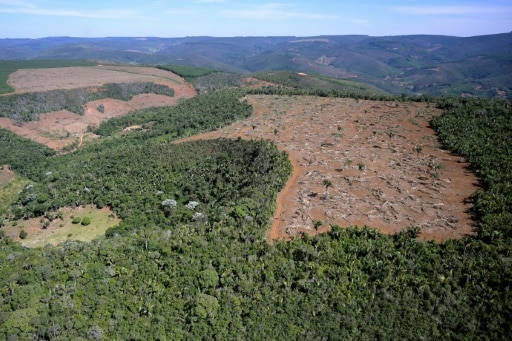 brésil deforestation foret atlantique
