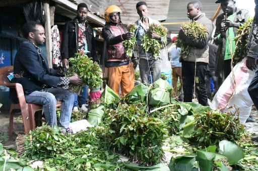 Khat Kenya Somali agriculture exportation