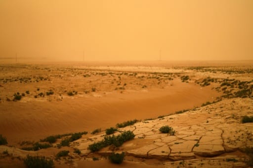 Tabqa Syrie Damas secheresse desert agriculture