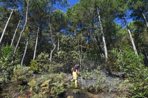 Besseges Gard incendie forêts france