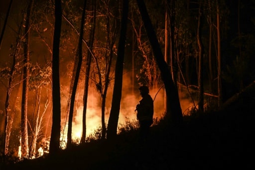 Portugal feux forêts biodiversité climat