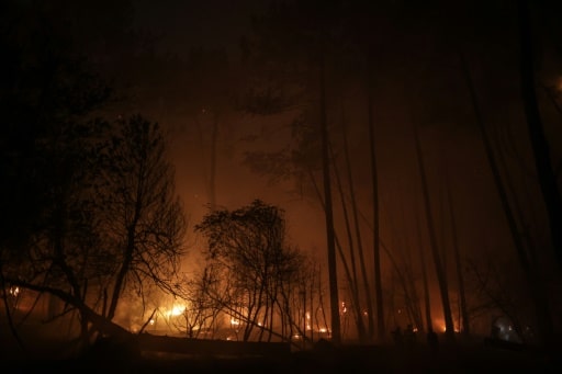 Incendies France forêts climat biodiversité