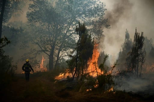 Gironde canicule incendie forêts france changement climatique