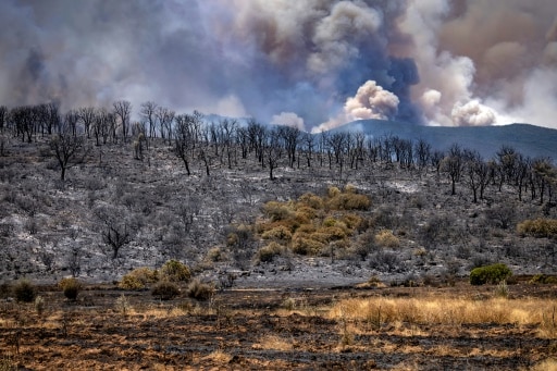 larache incendies maroc sécheresse changement climatique