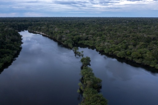 Brésil Amazonie biodiversité sciences