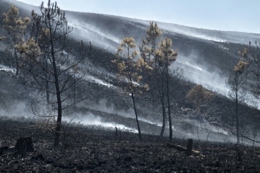Finistère incendies France Portugal changement climatique Espagne