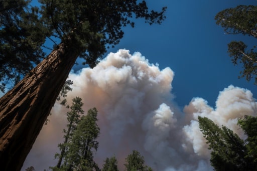 Yosemite incendies etats unis us sequioas forêts