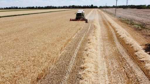 blé agriculture conflit signature accord