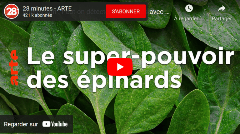 epinards bombe sciences fer carbone experience