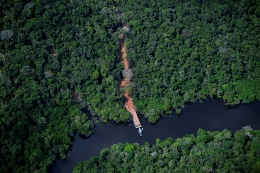 Brésil Amazonie forêts indigène déforestation