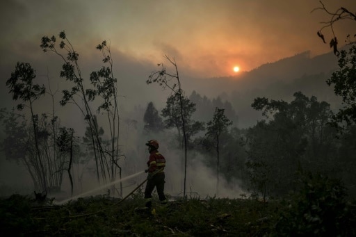 Portugal incendie feux de forêts changement climatique