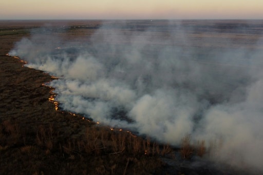 Argentine Parana feux forêts