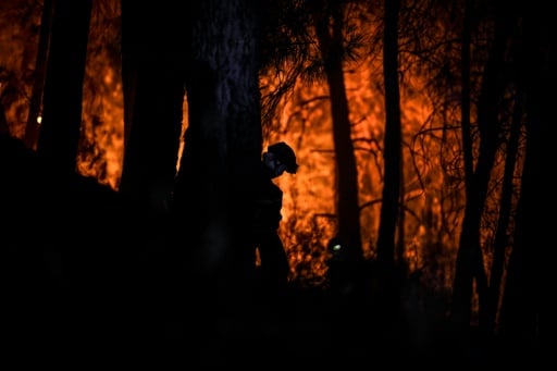 portugal forêts incendie feux changement climatique chaleur canicule