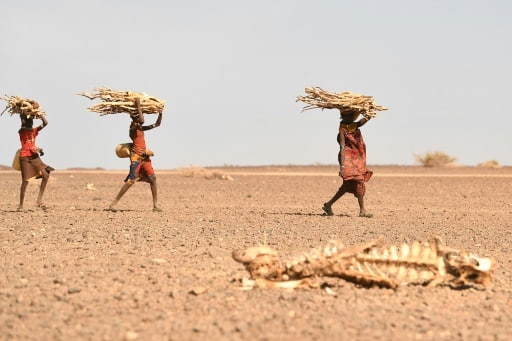 Somalie secheresse changement climatique desert