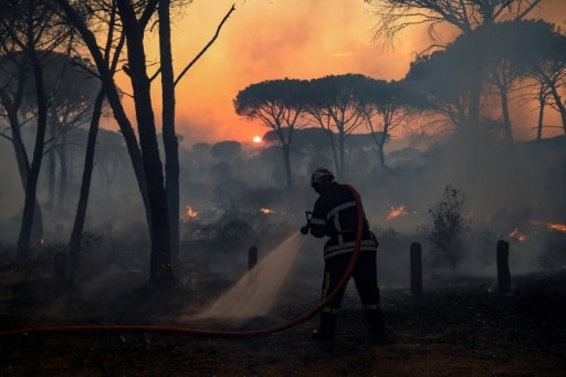 pompiers feux climat canciule