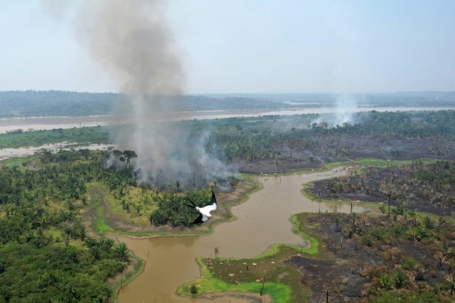 incendie amazonie deforestation