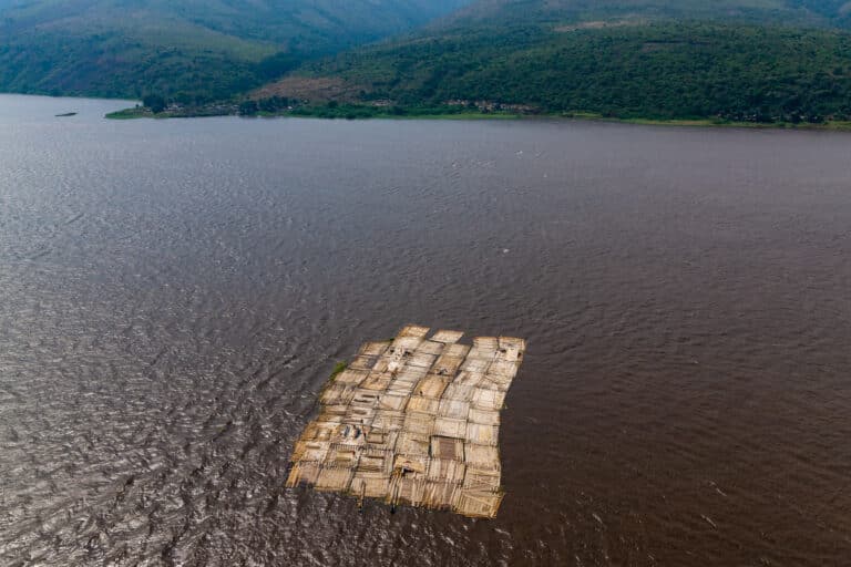 déforestation importée