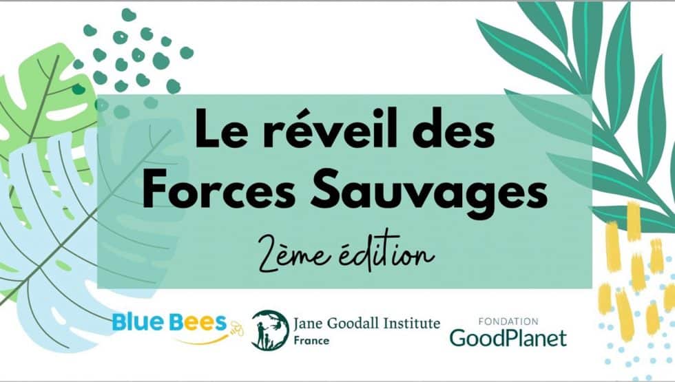 réveil forces sauvages Jane Goodall Fondation GoodPlanet