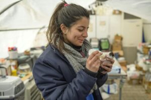 Petek Nur Sezer, volontaire de l'ONG Haytap, nourrit chatons, à Anakya 