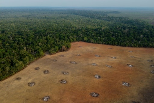 deforestation brésil recul