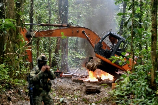 jungle colombienne mines d'or illegal