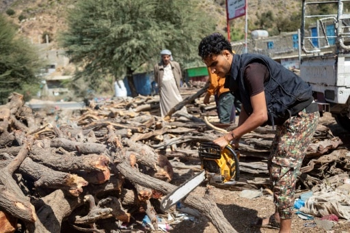 yemen guerre arbres