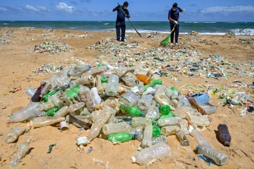 déchets plastiques biodegradables