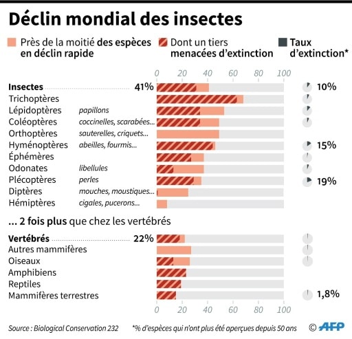 mortalité insectes