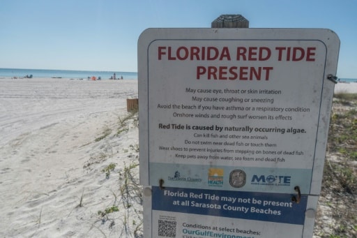 Un panneau avertissant du phénomène de marée rouge
