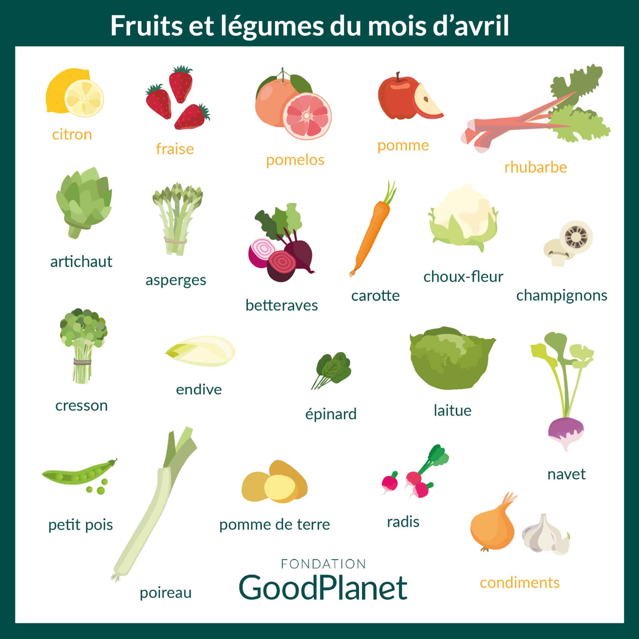 Le calendrier des fruits et des légumes de saison du mois d'avril