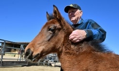 Lothar Rowe, propriétaire de ranch à Rio Verde Foothills en Arizona, avec l'un de ses cinquante chevaux