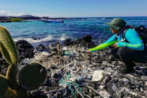 Des ordures accumulées sur l'île Isabela dans l'archipel des Galapagos