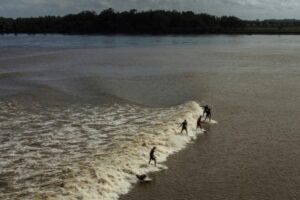 Des surfeurs sur la vague "Pororoca" 