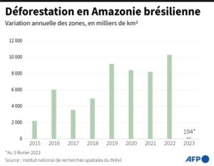 graphique deforestation amazonienne