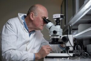 Le professeur Richard Thompson examine au microscope des nurdles et autres microplastiques, dans son laboratoire 