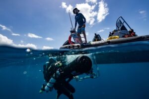 Des membres de la mission Under The Pole plongent pour photographier les fonds marins