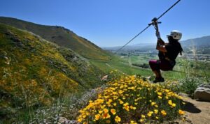 Une femme s'élance sur une tyrolienne pour admirer les fleurs sauvages
