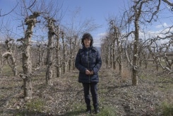 L'agricultrice Frosina Gjorgjievska dans ses vergers de pommes
