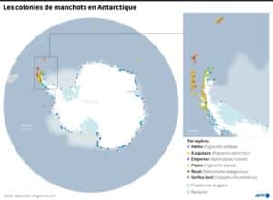 carte colonie de manchot