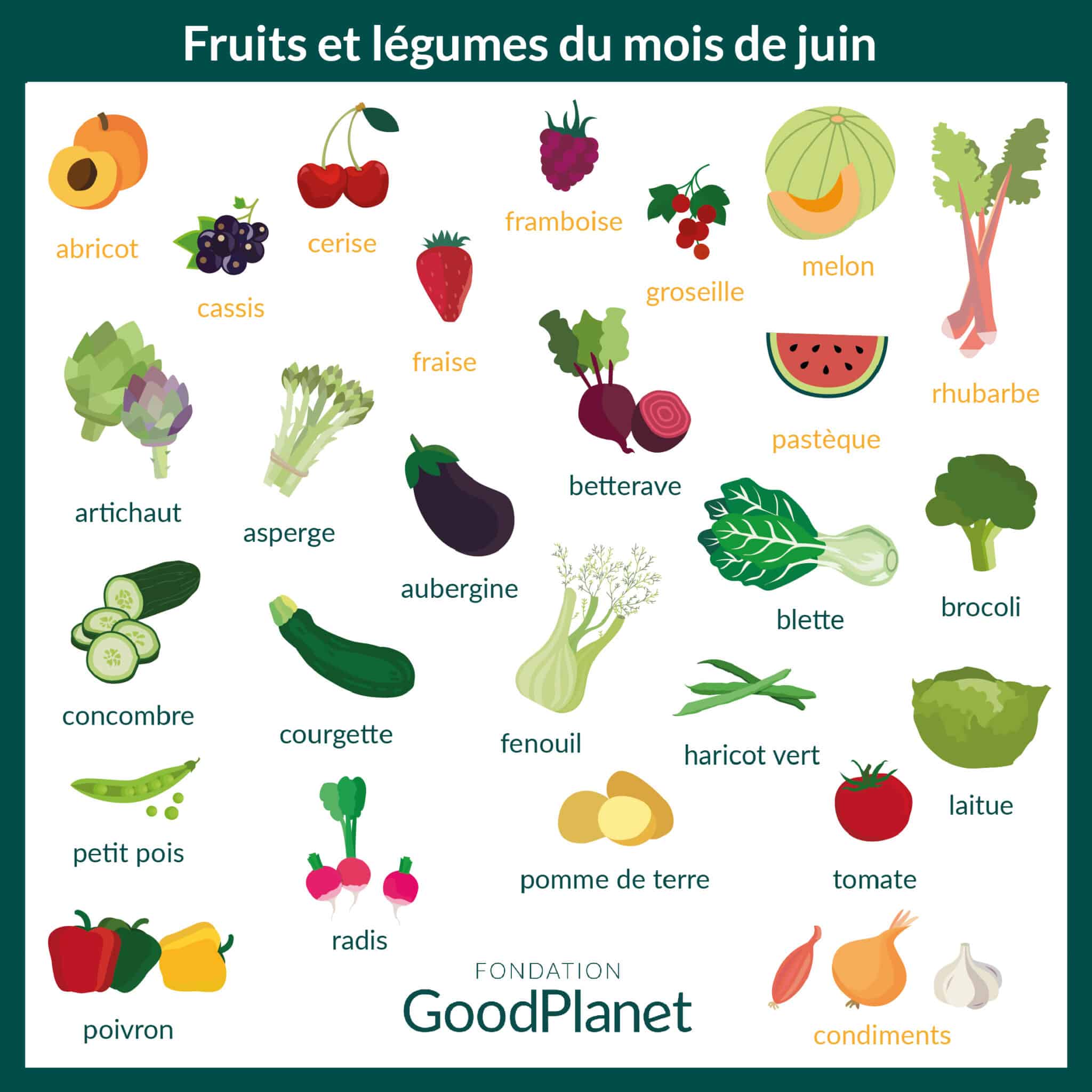 Les Fruits et Légumes Frais - Avis aux gourmands, les fruits et légumes du  mois de juin sont arrivés !☀️ Découvrez les stars du mois prêts à ravir nos  papilles ! 😋