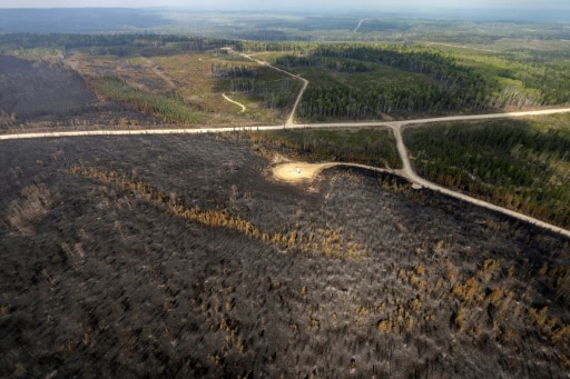 canada forêts incendies feux aide