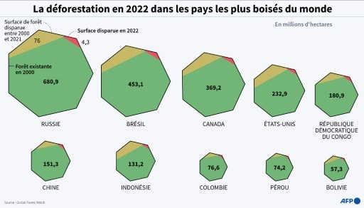 déforestation 2022 monde planete