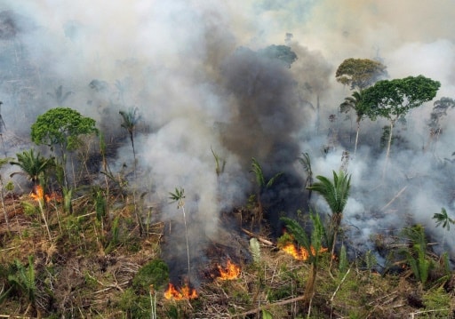 lula plan lutte contre la déforestation